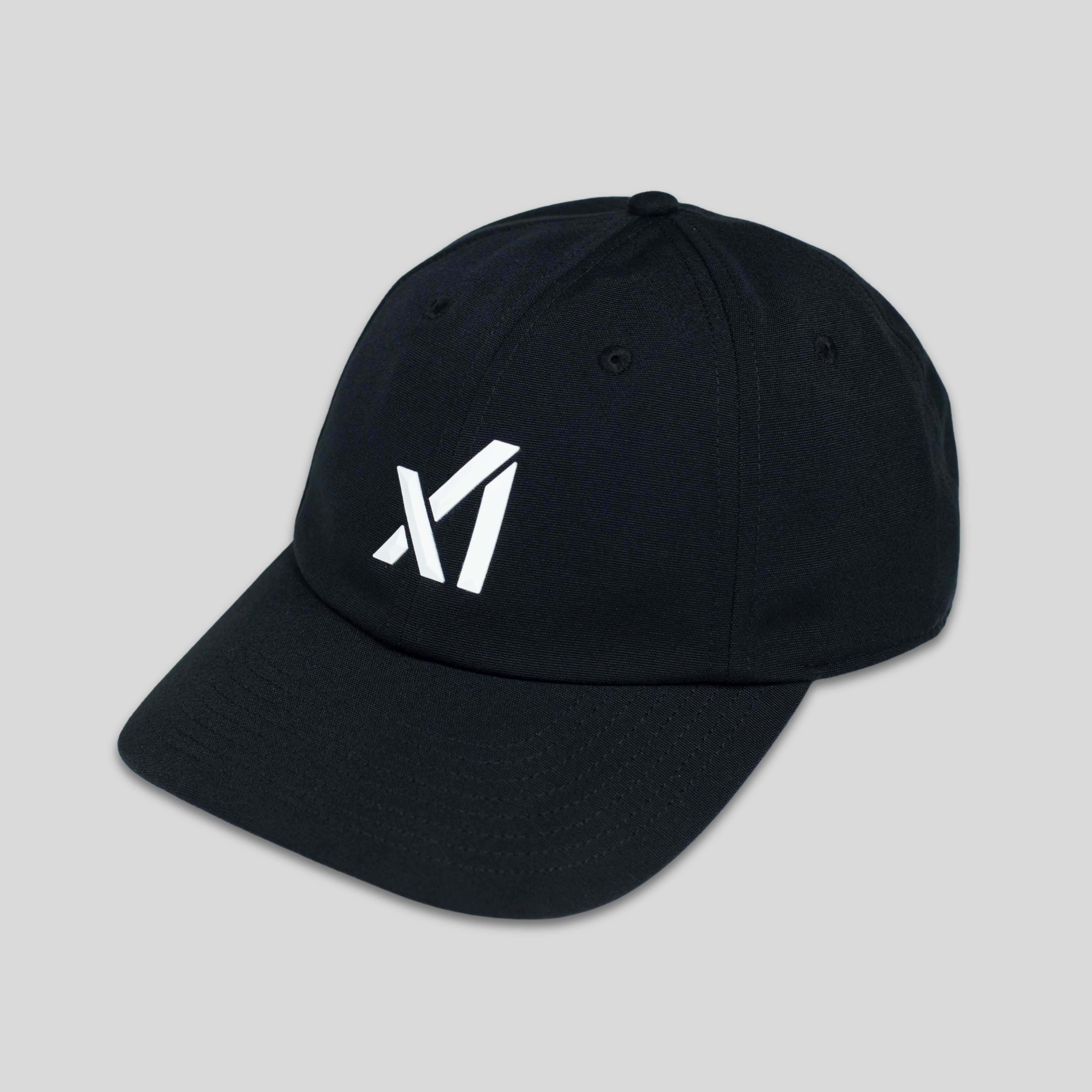 xAI Dad Hat